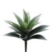 Agave Plant, 11in