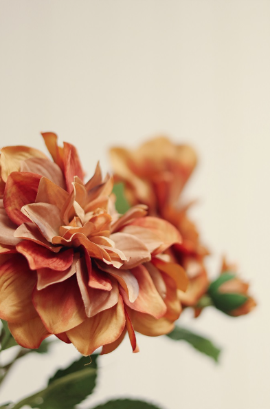 Dahlia Stem, Terracotta-thumbmail-1