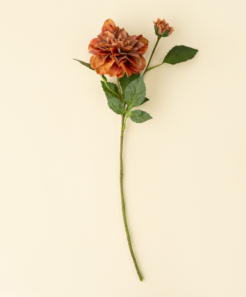 Dahlia Stem, Terracotta-thumbmail-2