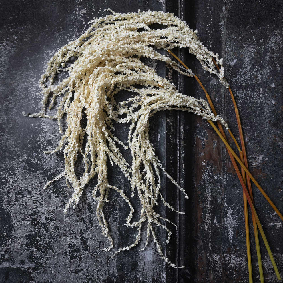 Amaranthus Cream - Faux Plant