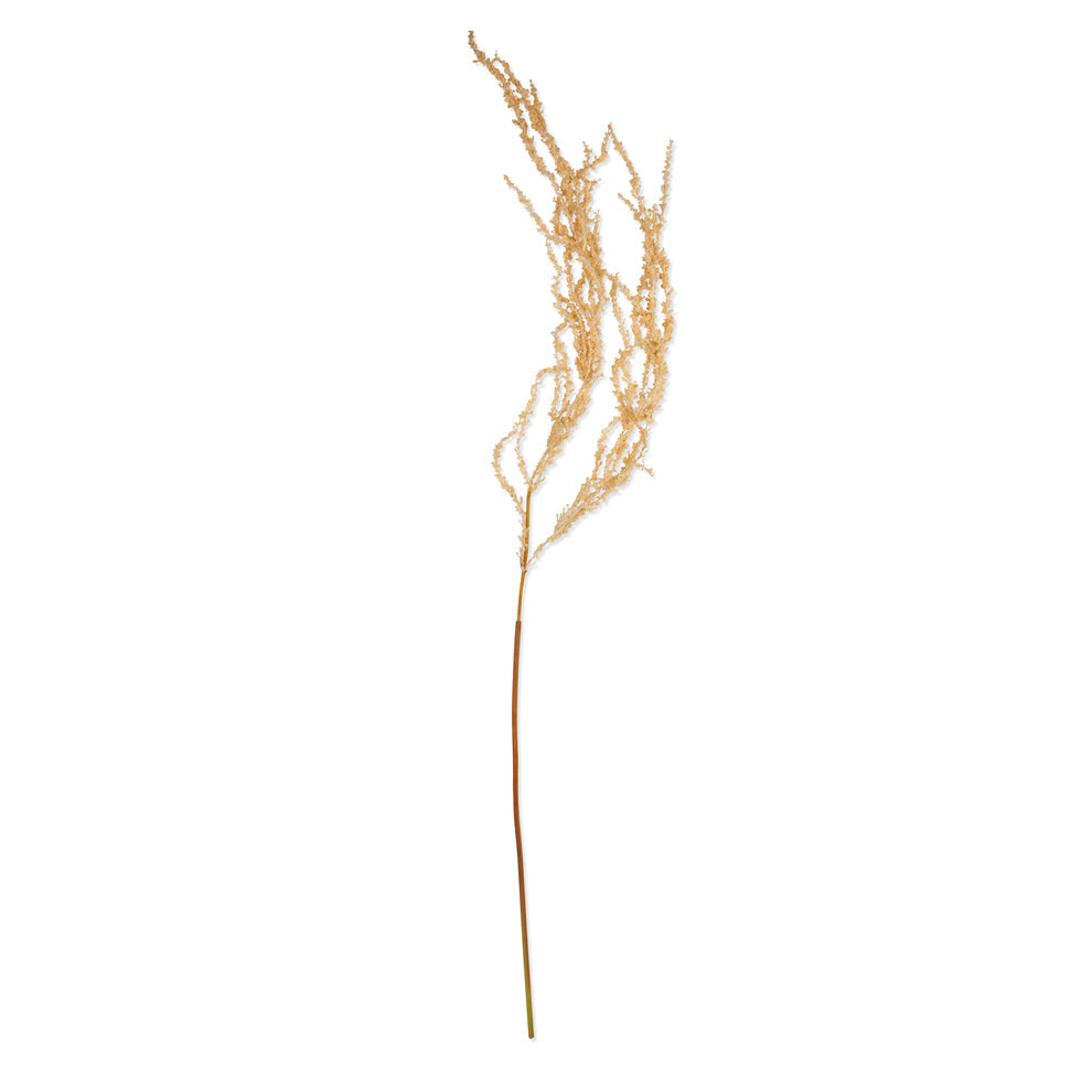 Amaranthus Cream - Faux Plant