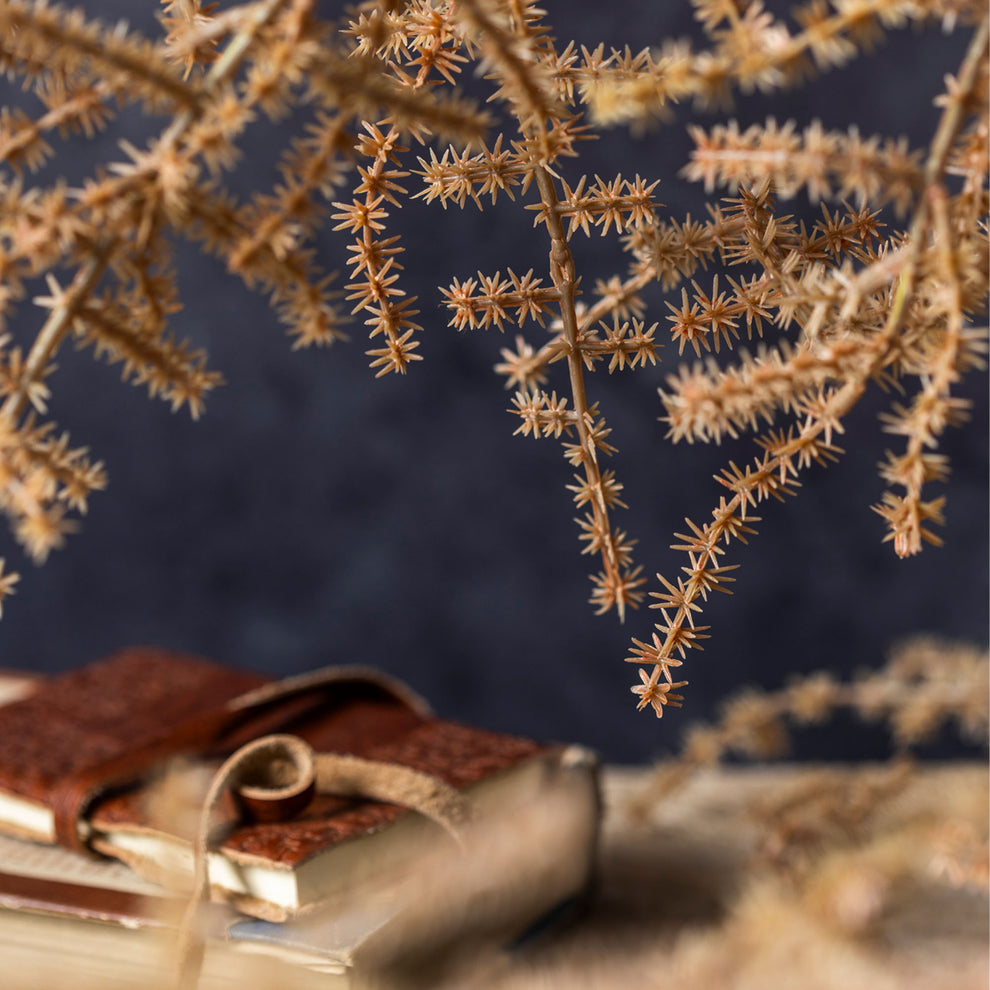 Asparagus Fern Desert - Faux Plant