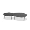 Product shot showing the large Arzo coffee table nested with a smaller matching table to showcase the graduated organic silhouettes