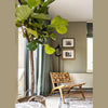 D-Bodhi Caterpillar Beetle chair styled in modern living room interior