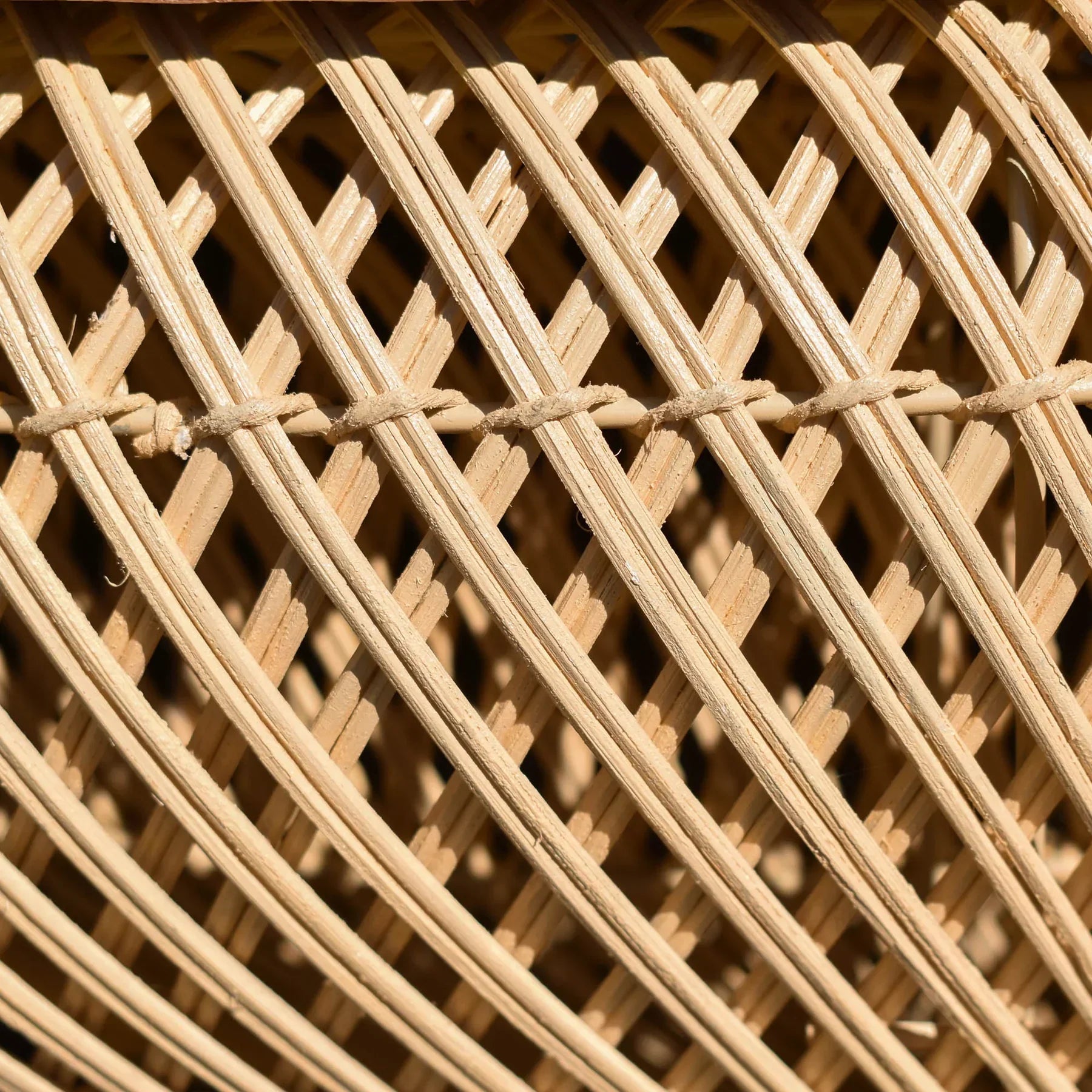 Front view of the large D-Bodhi Wave coffee table featuring a rounded woven abaca base in a natural finish with a solid recycled wood tabletop