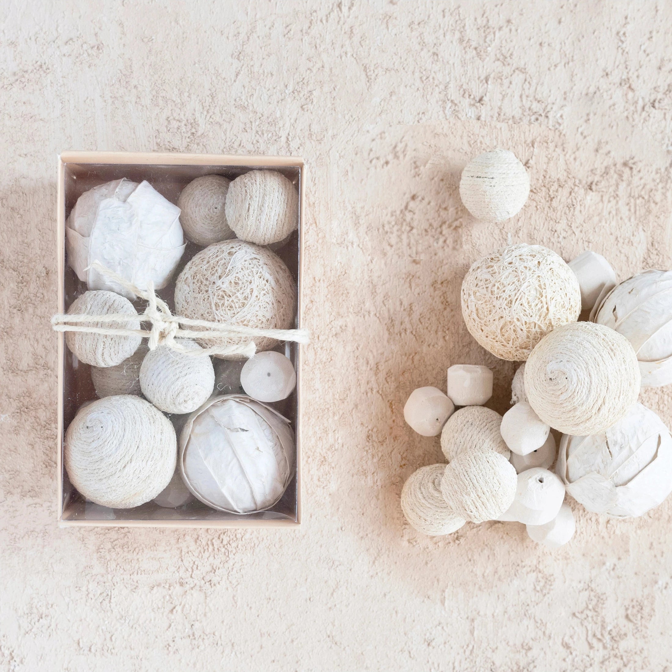Dried Natural Organic Orbs in Box