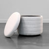 Studio shot showcasing the Elio platinum storage ottoman alongside coordinating upholstered furniture pieces