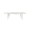 Gemini Extension Dining Table