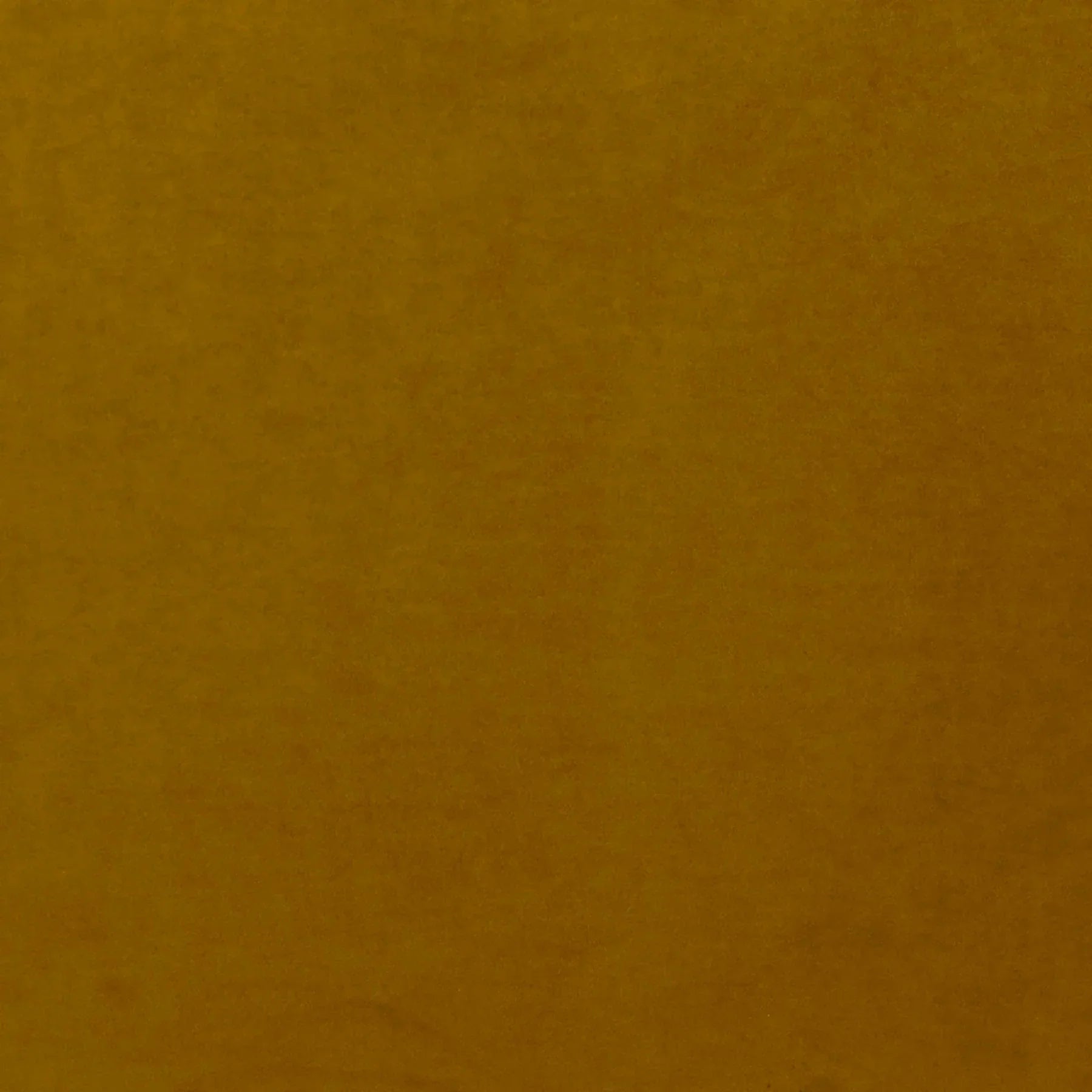 Full-frame macro shot of the mustard yellow velvet fabric for material reference