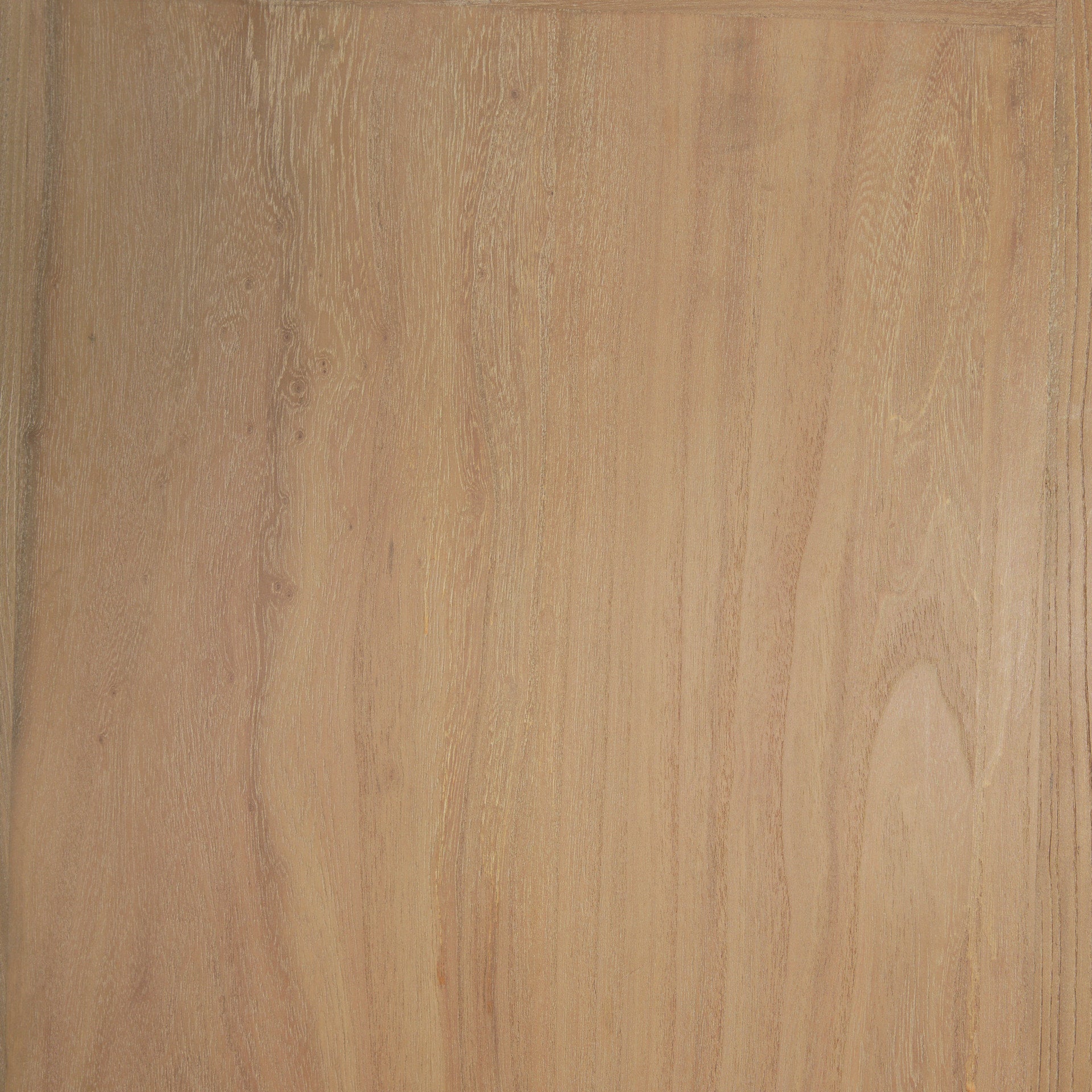 Front view of the Callum arched cabinet featuring light brown elm wood construction and tall glass double doors