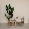 Perspective shot of the Rosa chair as a statement piece in a contemporary interior setting