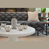 Styled lifestyle shot featuring the table in a loft-style environment with a dark patterned sofa and green plants