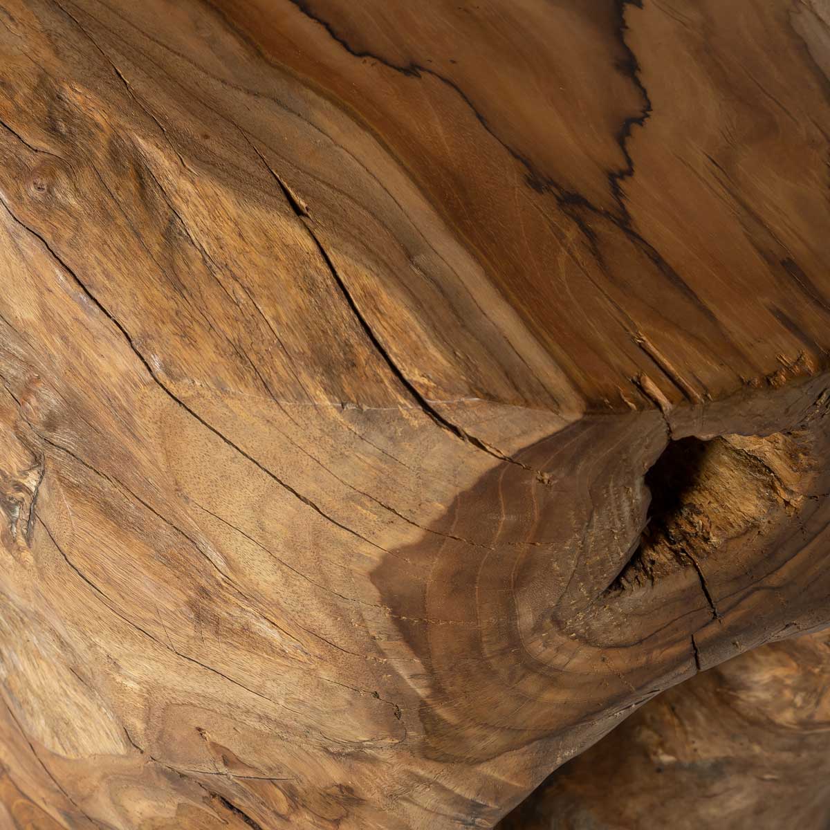Three-quarter view of the 21-inch Natura Opus accent table showcasing its unique reclaimed teak root form and natural wood knots