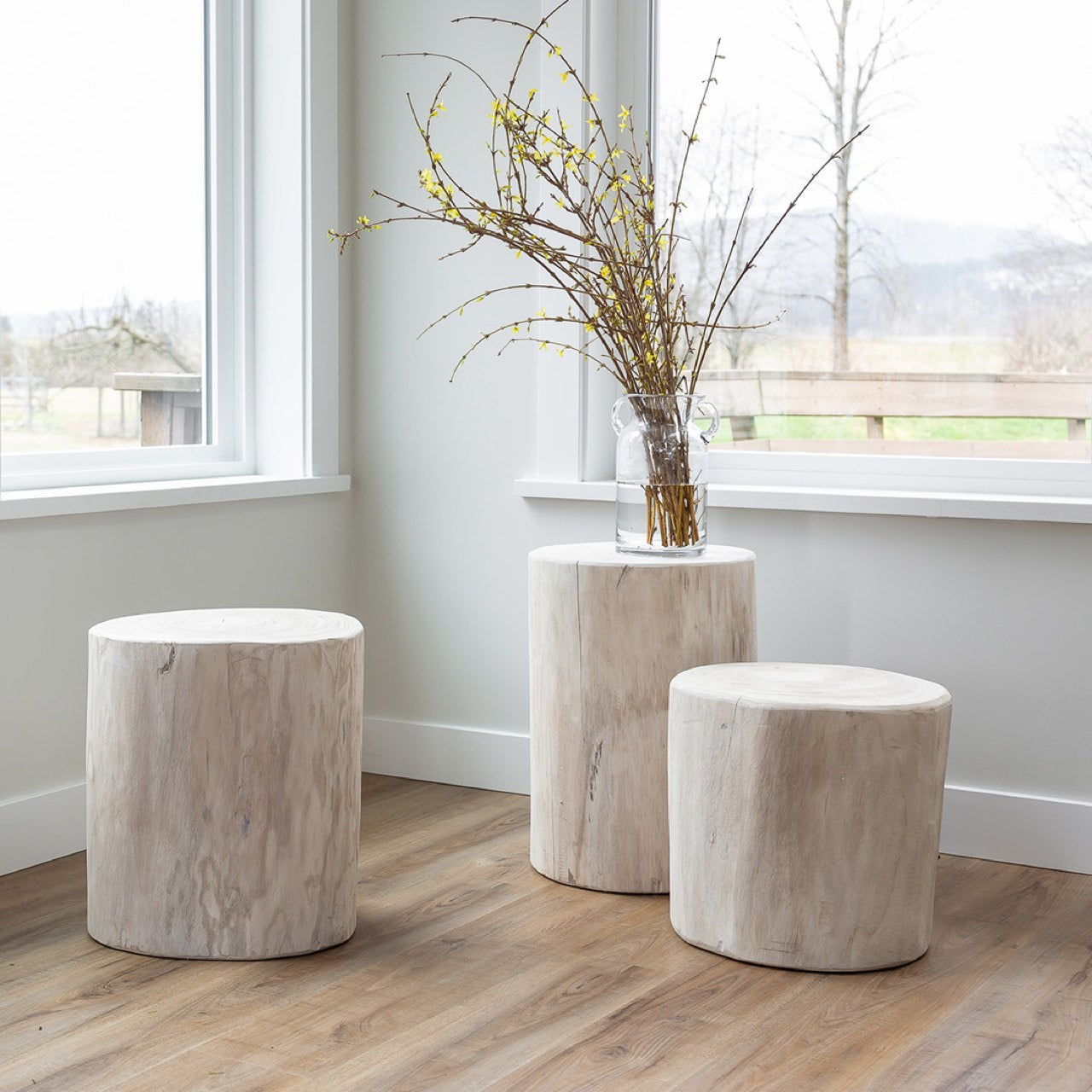 Lifestyle shot featuring a collection of white wash wood stump tables in different heights styled in a bright minimalist room