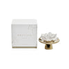 PASSION Porcelain Diffuser- Fig Vetiver