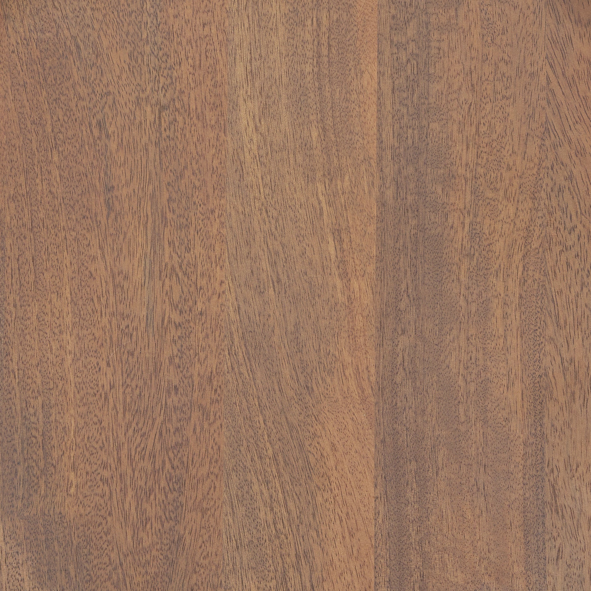 Medium Brown | Bar_0