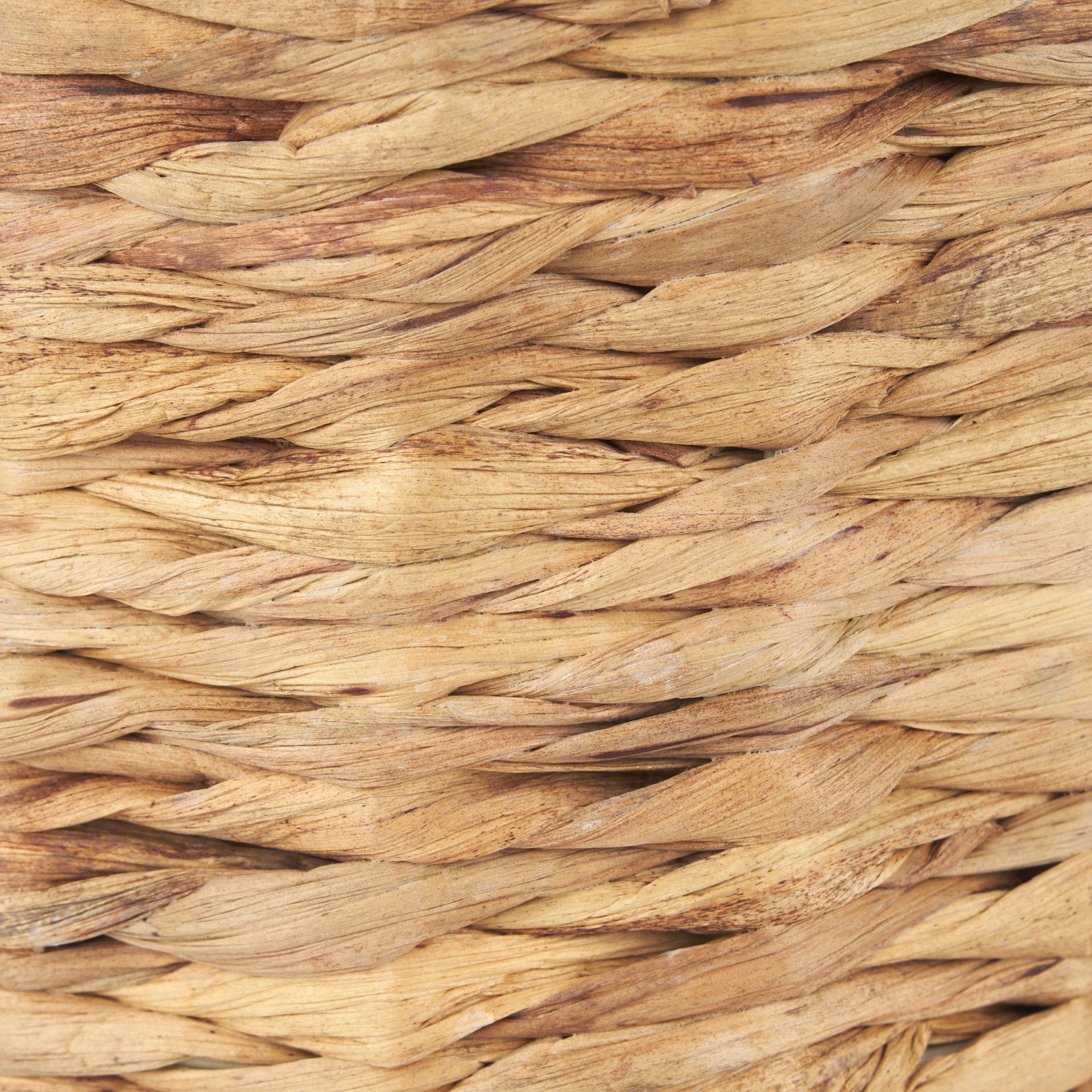 Seagrass_0