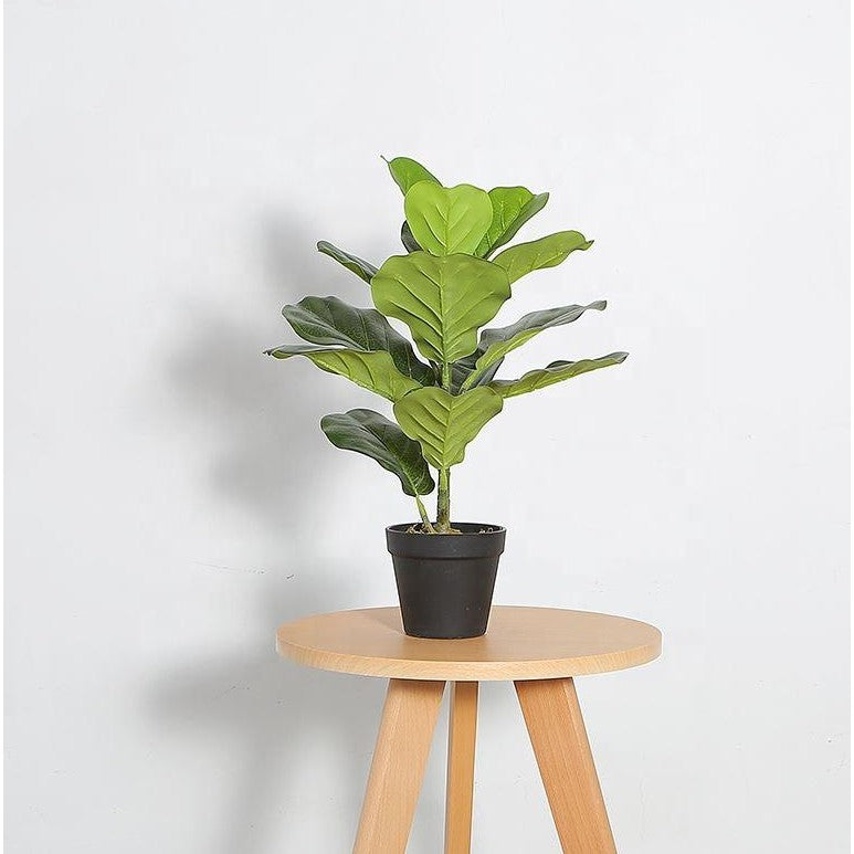 FIDDLE LEAF FIG FAUX PLANT 50CM/ 19.7"