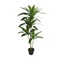 DRACAENA FAUX PLANT 130CM/ 51.2"