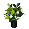 Magnolia Tree Faux Plant 40cm/ 15.7"