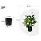 MAGNOLIA TREE FAUX PLANT 40CM/ 15.7"