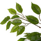 FICUS TREE FAUX PLANT 170CM/ 67"