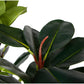 OAK TREE FAUX PLANT 160CM/ 63