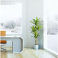 DRACAENA FAUX PLANT 130CM/ 51.2"