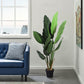 STRELITZIA TREE FAUX PLANT 150CM/ 59"
