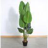 Strelitzia Tree Faux Plant 150cm/ 59"