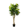 Fiddle Leaf Fig Faux Plant 185cm/ 72.8"