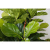 Fiddle Leaf Fig Faux Plant 185cm/ 72.8"