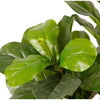 Fiddle Leaf Fig Faux Plant 85cm/ 33.4"