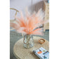 Pink Pampas Grass
