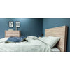 Alternate lifestyle angle highlighting the bed's presence in a clean, airy room with deep blue accent walls