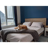 Real-home lifestyle shot featuring the Gia bed in a cozy bedroom setting with natural lighting